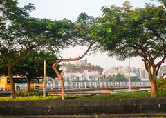 vbox10081_BEN_1135_172353