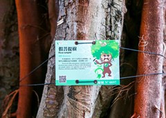 vbox10081_BEN_2098_102332